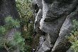 Adam Ondra